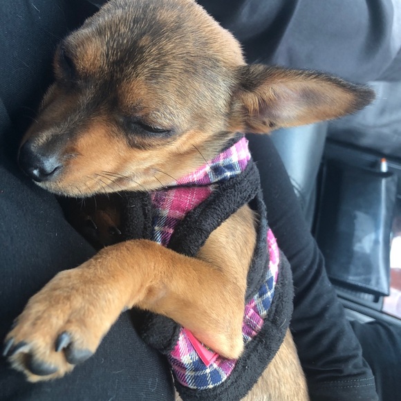 DJ - Picture 9 of 16